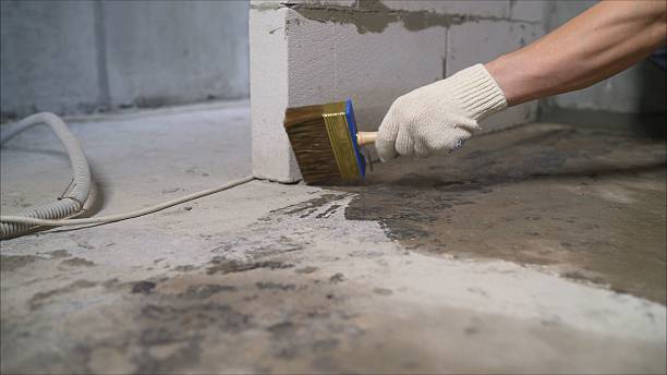 24/7 Emergency Wet Basement Repair experts in Woodberry Forest, VA